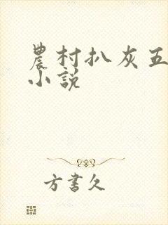 农村扒灰五十篇小说封面