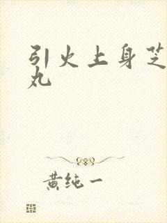 引火上身芝麻糖丸