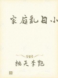 家庭乱日小说