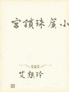 宫锁珠帘小说