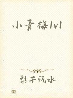 小青梅1v1