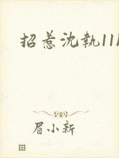 招惹沈执11h