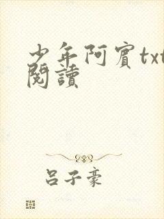 少年阿宾txt阅读
