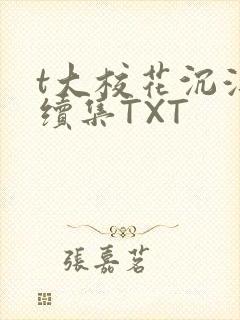 t大校花沉浮录续集TXT
