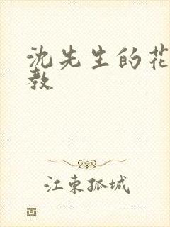 沈先生的花式调教