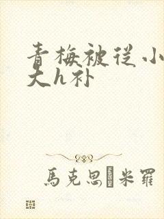 青梅被从小摸到大h补