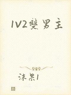 1V2双男主封面