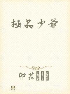 极品少爷