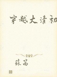 穿越大清初年封面