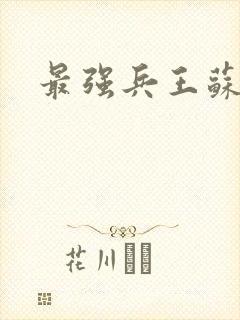 最强兵王苏锐