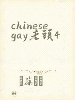 chinesegay老头4