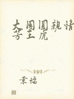大团圆亲情会王芳王虎封面