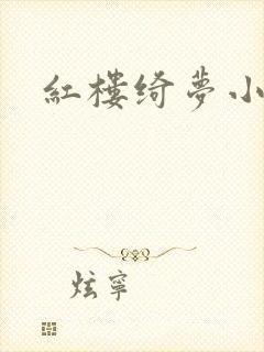 红楼绮梦小说