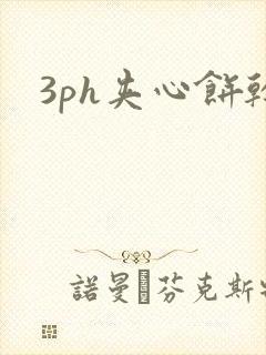 3ph夹心饼干封面