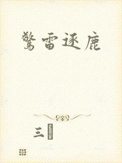 惊雷逐鹿封面
