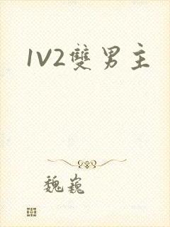 1V2双男主