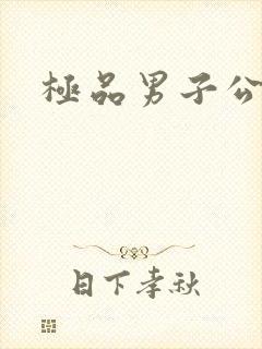 极品男子公寓封面