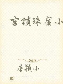 宫锁珠帘小说