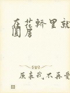 在花轿里就开始圆房
