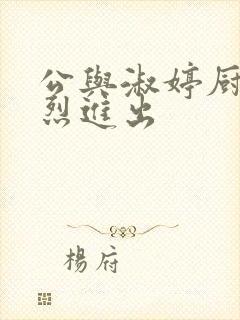 公与淑婷厨房猛烈进出