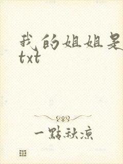 我的姐姐是美女txt