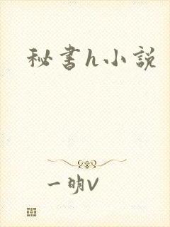 秘书h小说