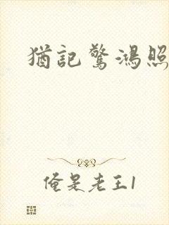 犹记惊鸿照影封面