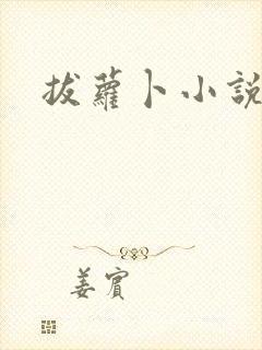 拔萝卜小说