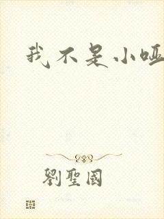 我不是小哑巴封面