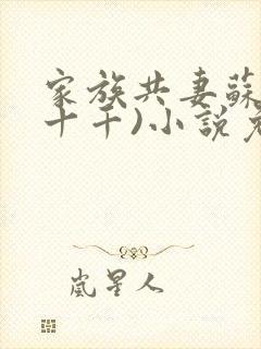 家族共妻苏苏(十千)小说免费