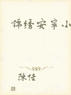 锦绣安宁小说封面