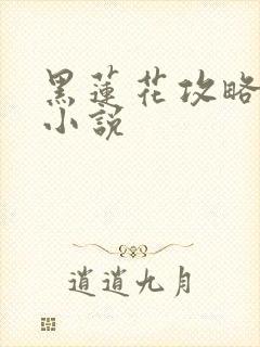 黑莲花攻略手册小说封面