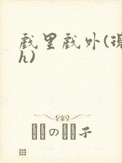 戏里戏外(现场h)