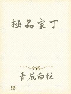 极品家丁