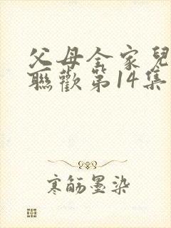 父母全家儿女大联欢第14集