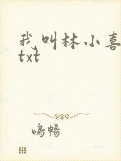 我叫林小喜小说txt