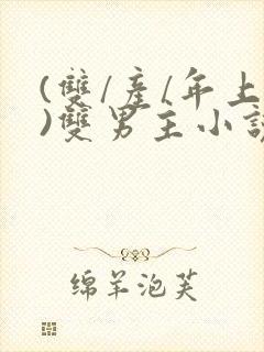 (双/产/年上)双男主小说封面