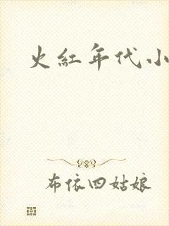 火红年代小说