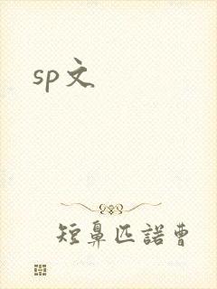 sp文封面