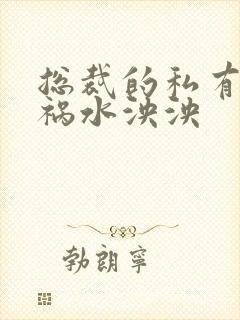 总裁的私有宝贝祸水泱泱