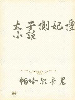 太子侧妃傻乎乎小说