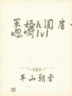 军婚h圆房~h嗯啊1v1