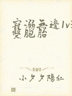 宠溺无边1v3双胞胎