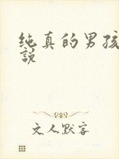 纯真的男孩子小说