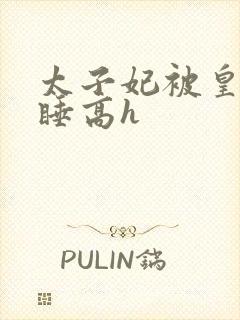 太子妃被皇上强睡高h