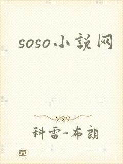 soso小说网
