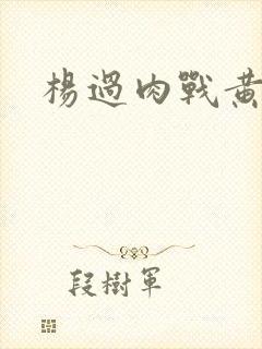 杨过肉战黄蓉