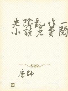 光阴乱作一团的小说免费阅读