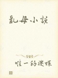 乱母小说