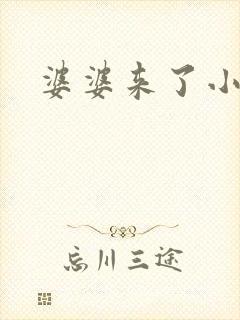 婆婆来了小说
